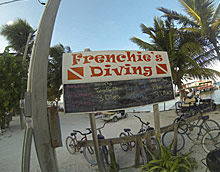 Frenchies Dive Services